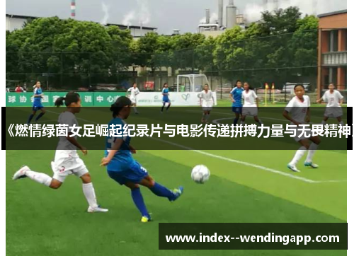 《燃情绿茵女足崛起纪录片与电影传递拼搏力量与无畏精神》 《燃情绿茵女足崛起纪录片与电影传递拼搏力量与无畏精神》